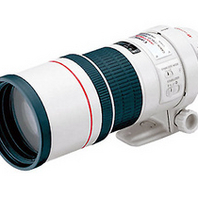 佳能EF 300mm f/4L IS USM(专业L级镜头)